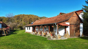 Casa de Peste Apă